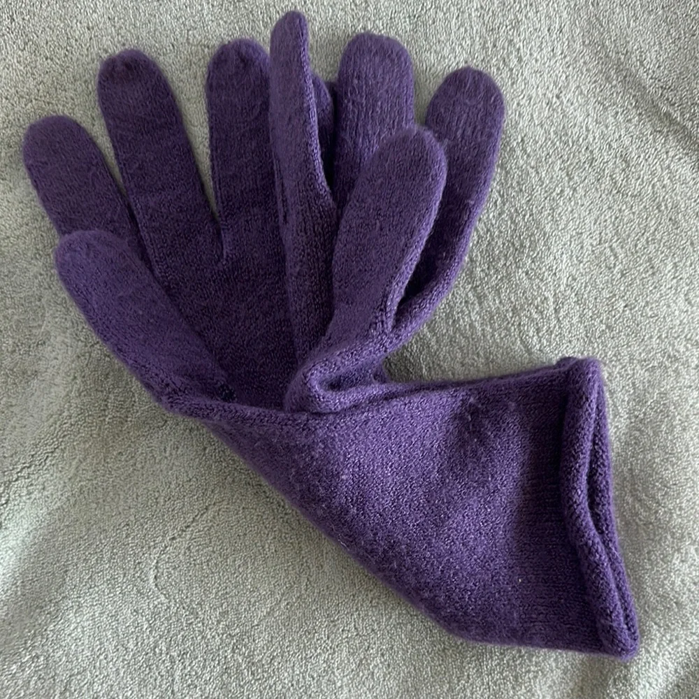 Echo Soft Elegant Purple Knit Gloves